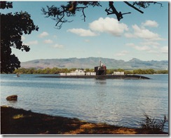 D _ 711 Homeward bound