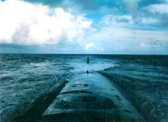 San Francisco 1981 Carribean