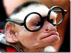 just monkeying around