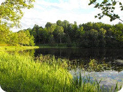 It doesn't get much greener than Sweden