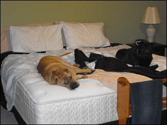 Grass Field Testers on their break