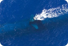 299975_2269444587380_1586561932_2226982_1880440993_n