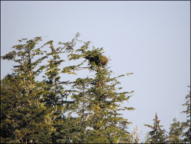 2010 Alaska Cruise 352