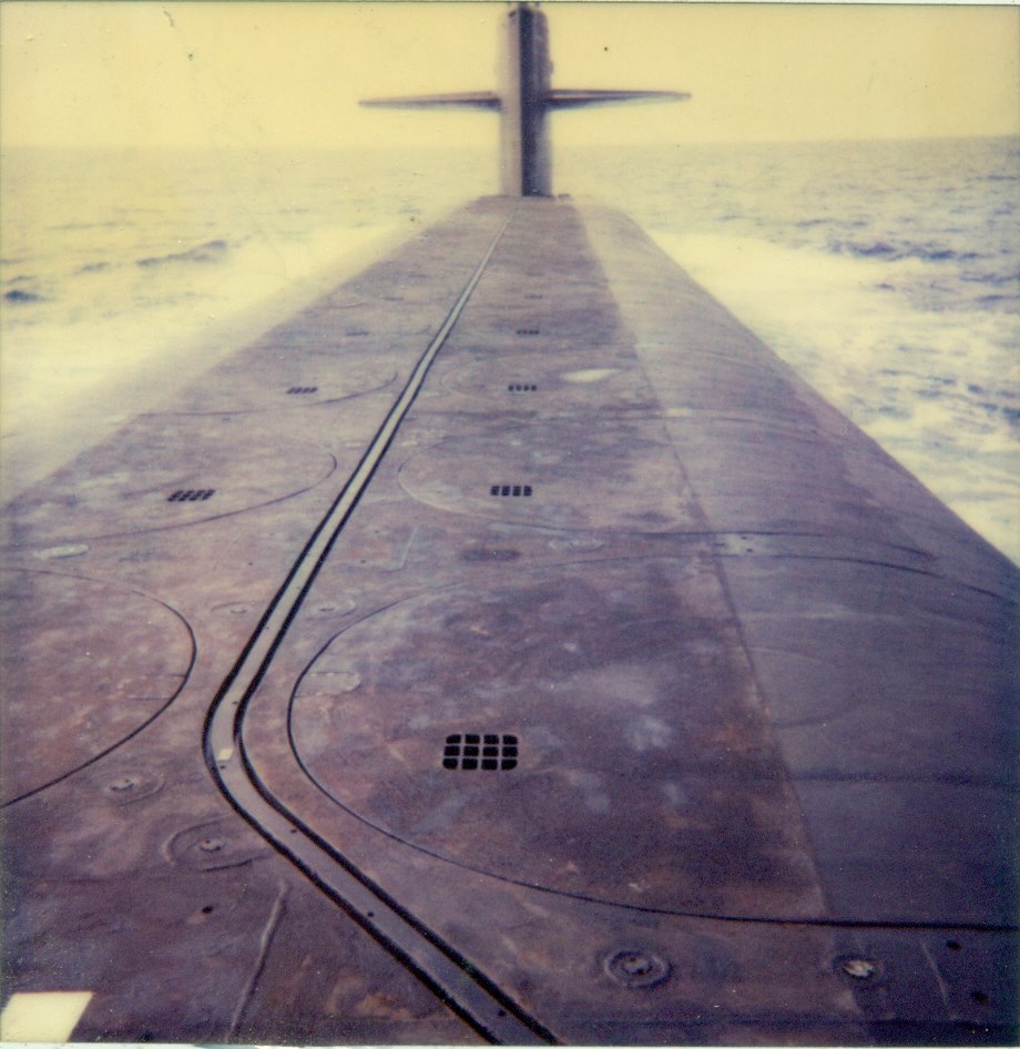 1395190_10201730056564944_611884660_n