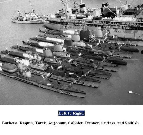 1488127_10202241042524155_1032441081_n